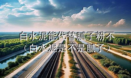 白水泥能代替膩?zhàn)臃鄄唬ò姿嗍遣皇悄佔(zhàn)樱?>
             </div>
             <!--文章無(wú)圖的情況下插入一張圖片end-->
              
      <p>本篇文章給大家談?wù)劙姿嗄?**替膩?zhàn)臃鄄?，以及白水泥是不是膩?zhàn)訉?duì)應(yīng)的知識(shí)點(diǎn)，希望對(duì)各位有所幫助，不要忘了收***本站喔。
今天給各位分享白水泥能***替膩?zhàn)臃鄄坏闹R(shí)，其中也會(huì)對(duì)白水泥是不是膩?zhàn)舆M(jìn)行解釋，如果能碰巧解決***現(xiàn)在面臨的問(wèn)題，別忘了關(guān)注本站，現(xiàn)在開始吧！</p><ol type=