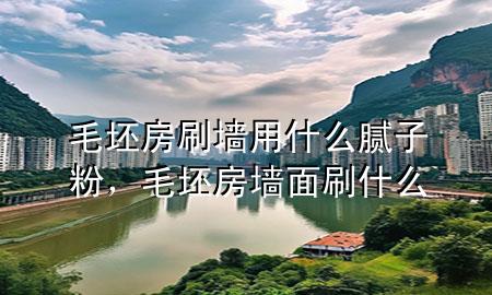毛坯房刷墻用什么膩子粉，毛坯房墻面刷什么