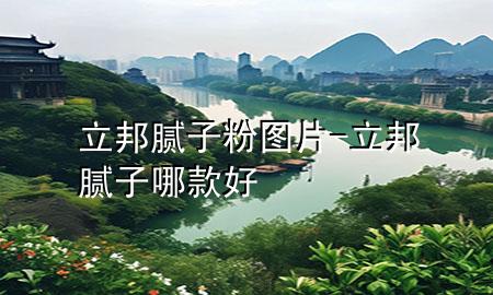 立邦膩子粉圖片-立邦膩子哪款好