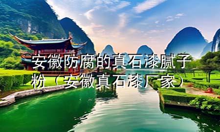 安徽防腐的真石漆膩?zhàn)臃郏ò不照媸釓S家）
