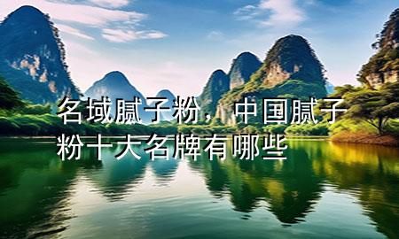 名域膩子粉，中國膩子粉十大名牌有哪些