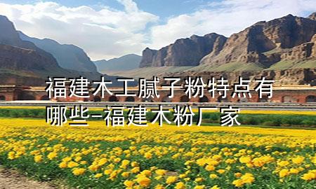 福建木工膩子粉特點有哪些-福建木粉廠家