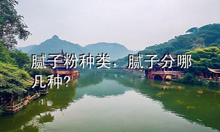 膩子粉 種類，膩子分哪幾種?