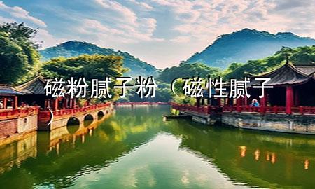 磁粉 膩子粉（磁性膩子）