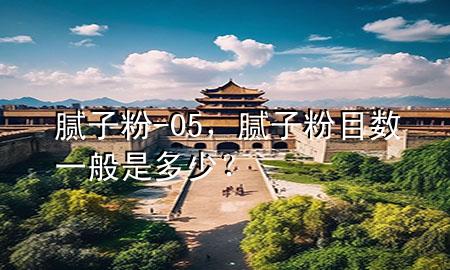 膩子粉-05，膩子粉目數(shù)一般是多少？