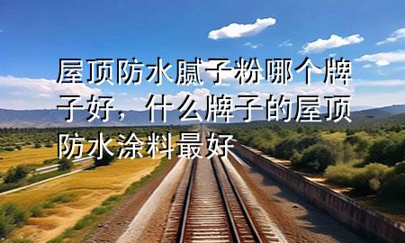 屋頂防水膩子粉哪個牌子好，什么牌子的屋頂防水涂料最好