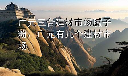 廣元三合建材市場膩子粉，廣元有幾個建材市場