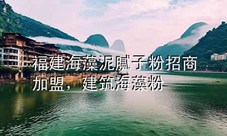 福建海藻泥膩子粉招商加盟，建筑海藻粉