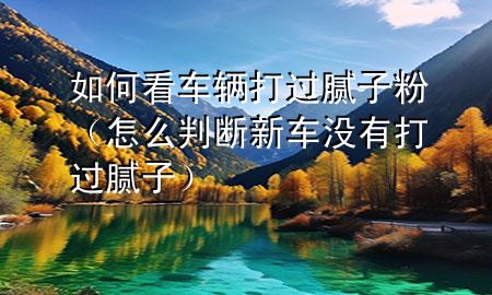 如何看車輛打過膩?zhàn)臃郏ㄔ趺磁袛嘈萝嚊]有打過膩?zhàn)樱?>
             </div>
             <!--文章無圖的情況下插入一張圖片end-->
              
      <p>本篇文章給大家談?wù)勅绾慰窜囕v打過膩?zhàn)臃?，以及怎么判斷新車沒有打過膩?zhàn)訉?yīng)的知識點(diǎn)，希望對各位有所幫助，不要忘了收***本站喔。
今天給各位分享如何看車輛打過膩?zhàn)臃鄣闹R，其中也會對怎么判斷新車沒有打過膩?zhàn)舆M(jìn)行解釋，如果能碰巧解決***現(xiàn)在面臨的問題，別忘了關(guān)注本站，現(xiàn)在開始吧！</p><ol type=