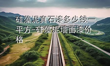 硅藻泥真石漆多少錢(qián)一平方-硅藻泥墻面漆價(jià)格