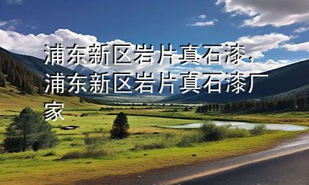 浦東新區(qū)巖片真石漆，浦東新區(qū)巖片真石漆廠家