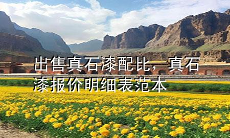出售真石漆配比，真石漆報價明細表范本