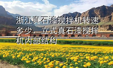 浙江真石漆攪拌機轉速多少，立式真石漆攪拌機內部結構