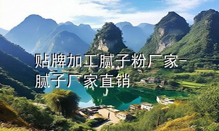 貼牌加工膩?zhàn)臃蹚S家-膩?zhàn)訌S家直銷