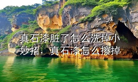 真石漆臟了怎么洗掉小妙招，真石漆怎么擦掉