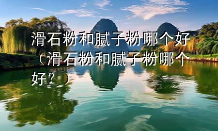 滑石粉和膩?zhàn)臃勰膫€好（滑石粉和膩?zhàn)臃勰膫€好？）