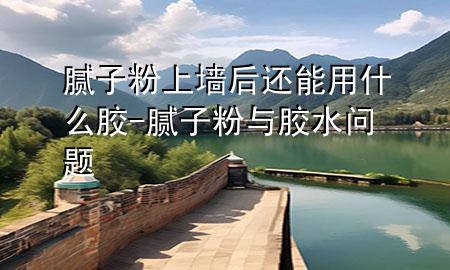 膩子粉上墻后還能用什么膠-膩子粉與膠水問題