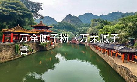 萬全膩子粉（萬榮膩子膏）