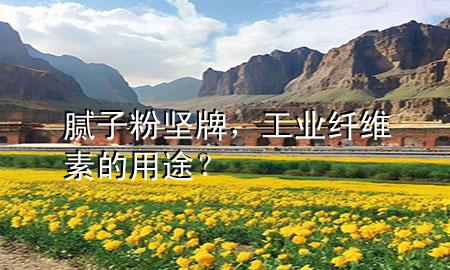 膩子粉 堅牌，工業(yè)纖維素的用途？