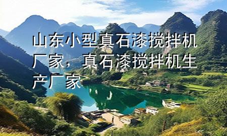 山東小型真石漆攪拌機(jī)廠家，真石漆攪拌機(jī)生產(chǎn)廠家