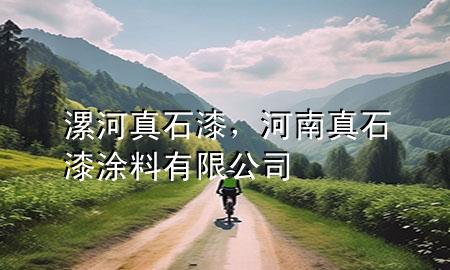 漯河真石漆，河南真石漆涂料有限公司