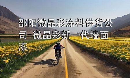 邵陽微晶彩涂料供貨公司-微晶彩新一代墻面漆