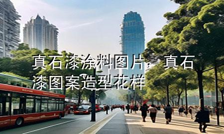 真石漆涂料圖片，真石漆圖案造型花樣