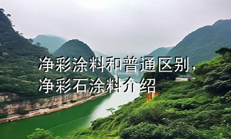 凈彩涂料和普通區(qū)別，凈彩石涂料介紹