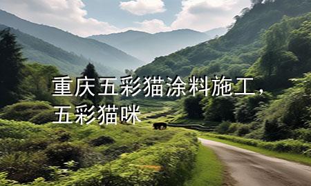 重慶五彩貓涂料施工，五彩貓咪