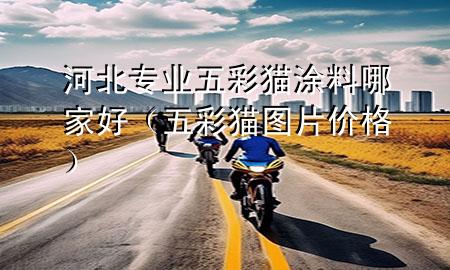 河北專業(yè)五彩貓涂料哪家好（五彩貓圖片價(jià)格）