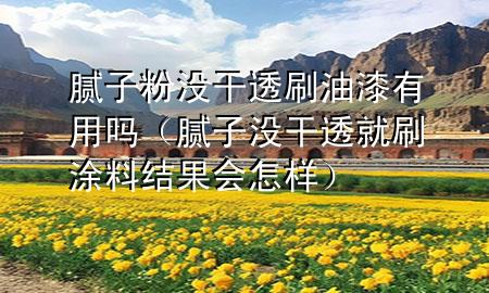 膩?zhàn)臃蹧](méi)干透刷油漆有用嗎（膩?zhàn)記](méi)干透就刷涂料結(jié)果會(huì)怎樣）
