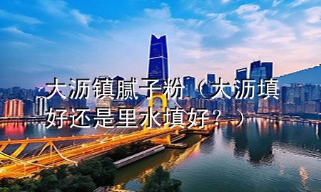大瀝鎮(zhèn)膩子粉（大瀝填好還是里水填好？）