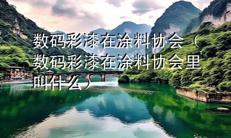 數(shù)碼彩漆在涂料協(xié)會(huì)（數(shù)碼彩漆在涂料協(xié)會(huì)里叫什么）