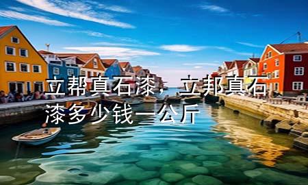 立幫真石漆，立邦真石漆多少錢一公斤