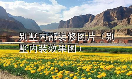 別墅內(nèi)部裝修圖片（別墅內(nèi)裝效果圖）