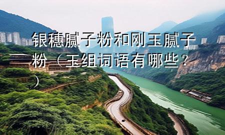 銀穗膩子粉和剛玉膩子粉（玉組詞語有哪些？）