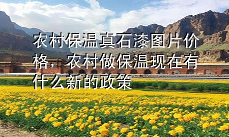農(nóng)村保溫真石漆圖片價(jià)格，農(nóng)村做保溫現(xiàn)在有什么新的政策