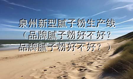 泉州新型膩子粉生產(chǎn)線（品牌膩子粉好不好？品牌膩子粉好不好？）