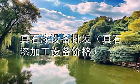 真石漆設備批發(fā)（真石漆加工設備價格）