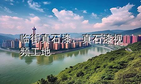 臨街真石漆，真石漆視頻工地