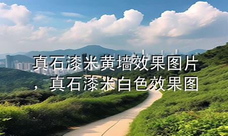 真石漆米黃墻效果圖片，真石漆米白色效果圖