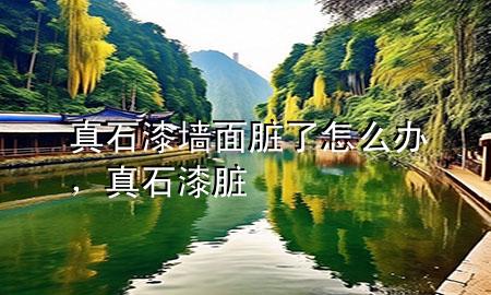 真石漆墻面臟了怎么辦，真石漆 臟
