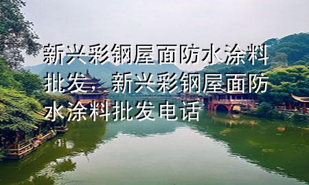 新興彩鋼屋面防水涂料批發(fā)，新興彩鋼屋面防水涂料批發(fā)電話