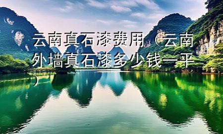 云南真石漆費(fèi)用（云南外墻真石漆多少錢一平）
