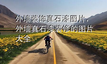外墻裝飾真石漆圖片，外墻真石漆裝修的圖片大全