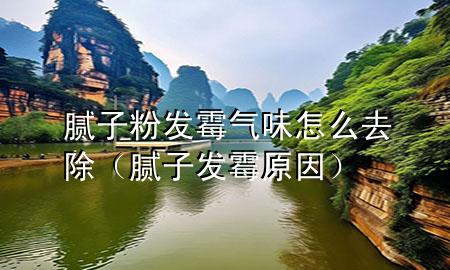 膩子粉發(fā)霉氣味怎么去除（膩子發(fā)霉原因）