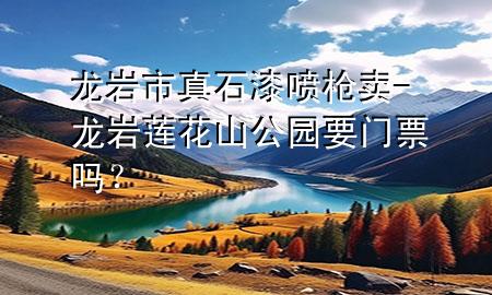 龍巖市真石漆噴槍賣-龍巖蓮花山公園要門票嗎？