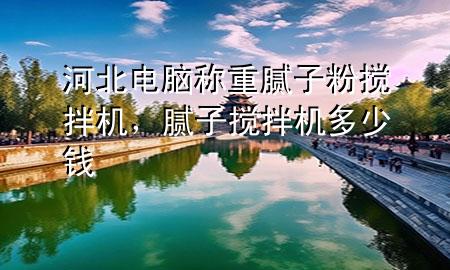河北電腦稱重膩子粉攪拌機，膩子攪拌機多少錢