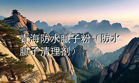 青海防水膩子粉（防水膩子清理劑）