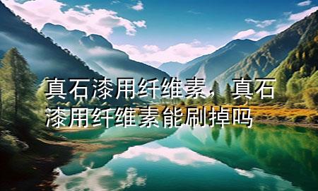 真石漆用纖維素，真石漆用纖維素能刷掉嗎